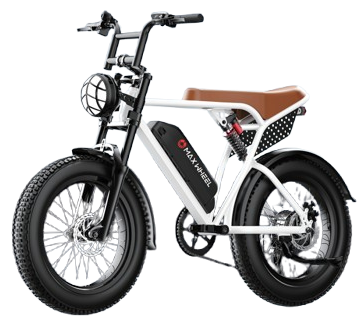 E-Bike Cadena